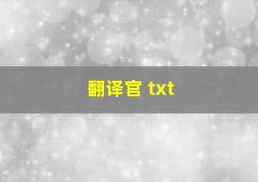 翻译官 txt